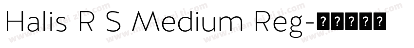 Halis R S Medium Reg字体转换